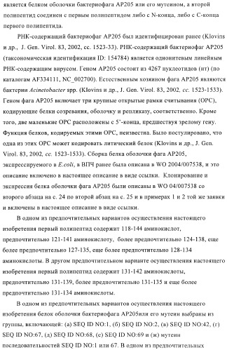 Вирусоподобные частицы, включающие гибридный белок белка оболочки бактериофага ар205 и антигенного полипептида (патент 2409667)