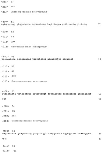 Комбинации антител, обладающих селективностью по отношению к рецептору лиганда, индуцирующему апоптоз, ассоциированный с фактором некроза опухоли, и других терапевтических средств (патент 2313368)