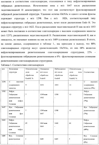 Конструкции слияния и их применение для получения антител с повышенными аффинностью связывания fc-рецептора и эффекторной функцией (патент 2407796)