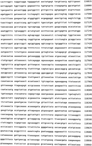 Бактериофаг, обладающий активностью против pseudomonas aeruginosa, белки бактериофага и способы их применения (патент 2580248)