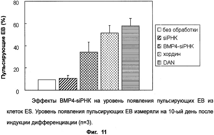 Способ индукции дифференциации стволовых клеток в миокардиальные (патент 2392315)