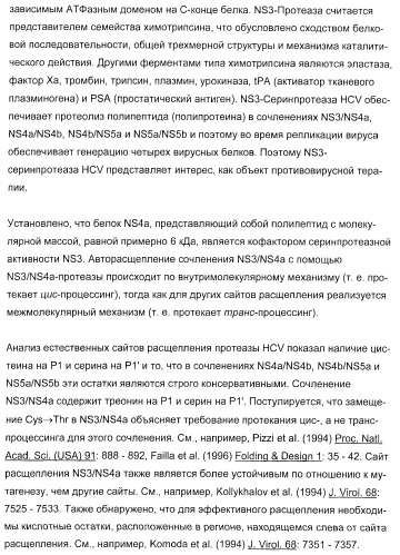 Новые пептиды как ингибиторы ns3-серинпротеазы вируса гепатита c (патент 2404189)