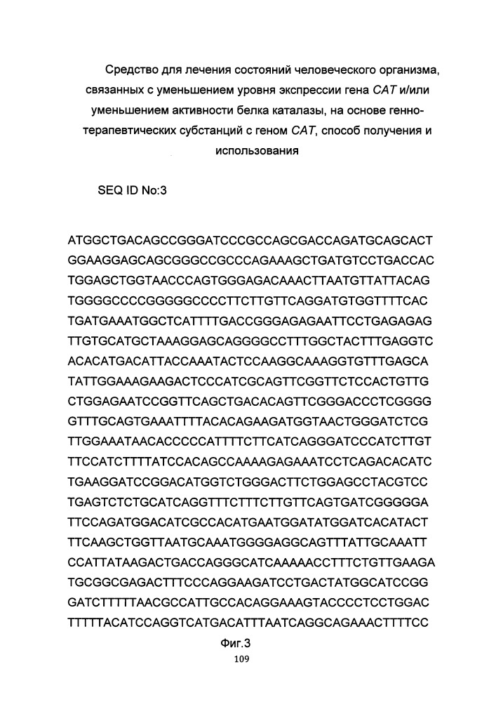 Средство для лечения состояний человеческого организма, связанных с уменьшением уровня экспрессии гена сат и/или уменьшением активности белка каталазы на основе генно-терапевтических субстанций с геном сат, способ получения и использования (патент 2649814)