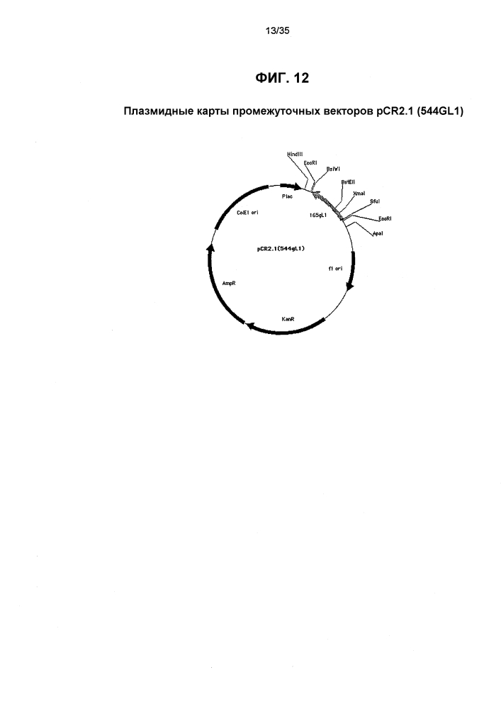 Конъюгаты "производное калихеамицина-носитель" (патент 2602878)