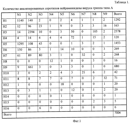 Способ выбора днк-зондов для микрочиповой диагностики, биочип и способ типирования гена нейраминидазы и гемагглютинина вируса гриппа а (патент 2470076)