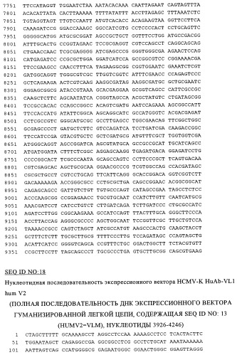 Терапевтические связывающие молекулы (патент 2328506)