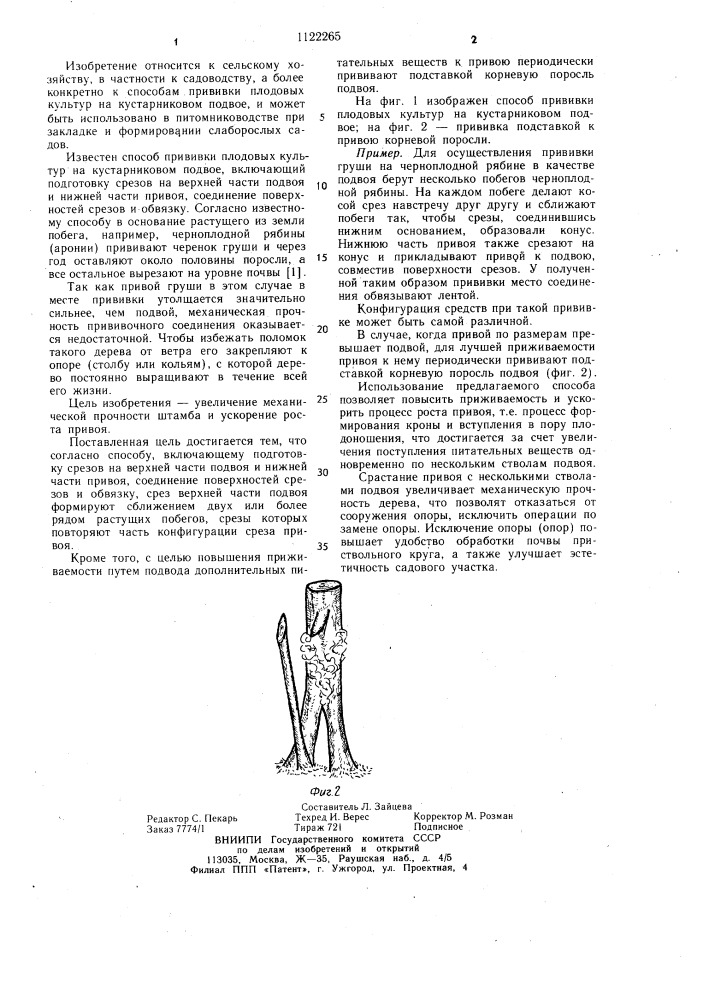 Способ прививки плодовых культур на кустарниковом подвое (патент 1122265)