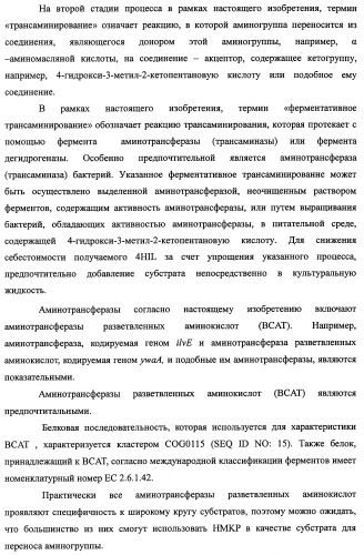 Способ производства 4-гидрокси-l-изолейцина или его соли (патент 2355767)