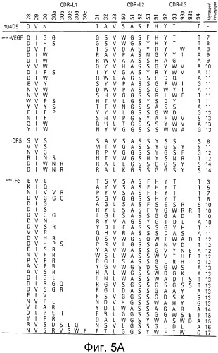 Полиспецифические антитела (патент 2547596)
