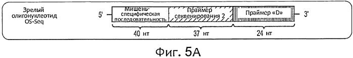 Прямой захват, амплификация и секвенирование днк-мишени с использованием иммобилизированных праймеров (патент 2565550)