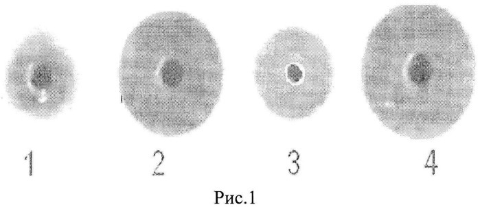 Способ выделения спермаспецифического ингибитора трипсина человека (патент 2524668)