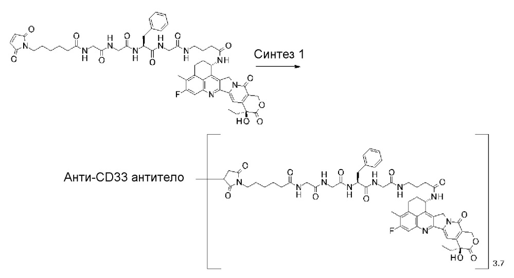 Конъюгат антитело-лекарственное средство (патент 2664465)