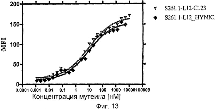 Мутеины липокалина слезной жидкости, обладающие аффинностью к с-мет рецепторной тирозинкиназе человека и способы их получения (патент 2515063)