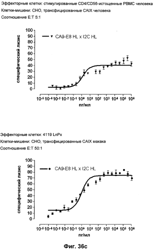 Cd3-эпсилон-связывающий домен с межвидовой специфичностью (патент 2561457)