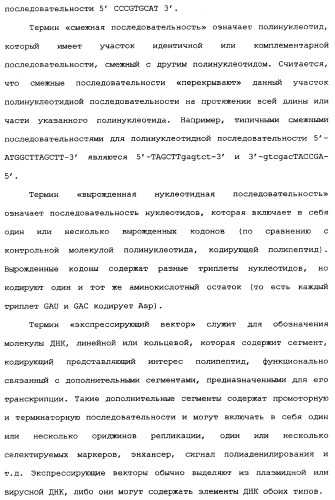 Новый лиганд рецептора цитокина zcytor17 (патент 2360923)