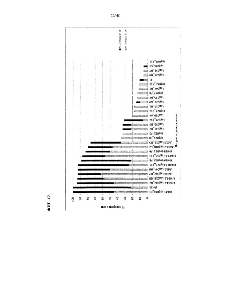 Подавление экспрессии генов у насекомых-вредителей (патент 2619219)