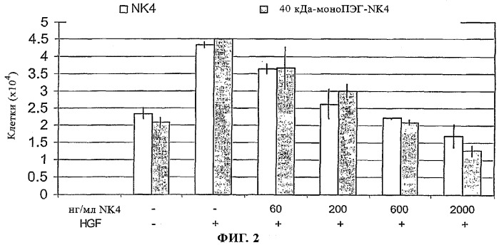 Содержащие пэг конъюгаты hgf-nk4 (патент 2293574)