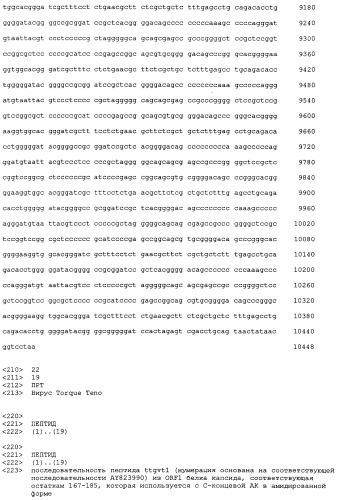 Выделенная полинуклеотидная молекула, кодирующая вирус torque teno, молекула рнк и вектор экспрессии (патент 2502801)