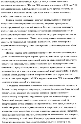 Способы и композиции для экспрессии антисмысловой вирусной рнк в клетках собаки (патент 2457250)
