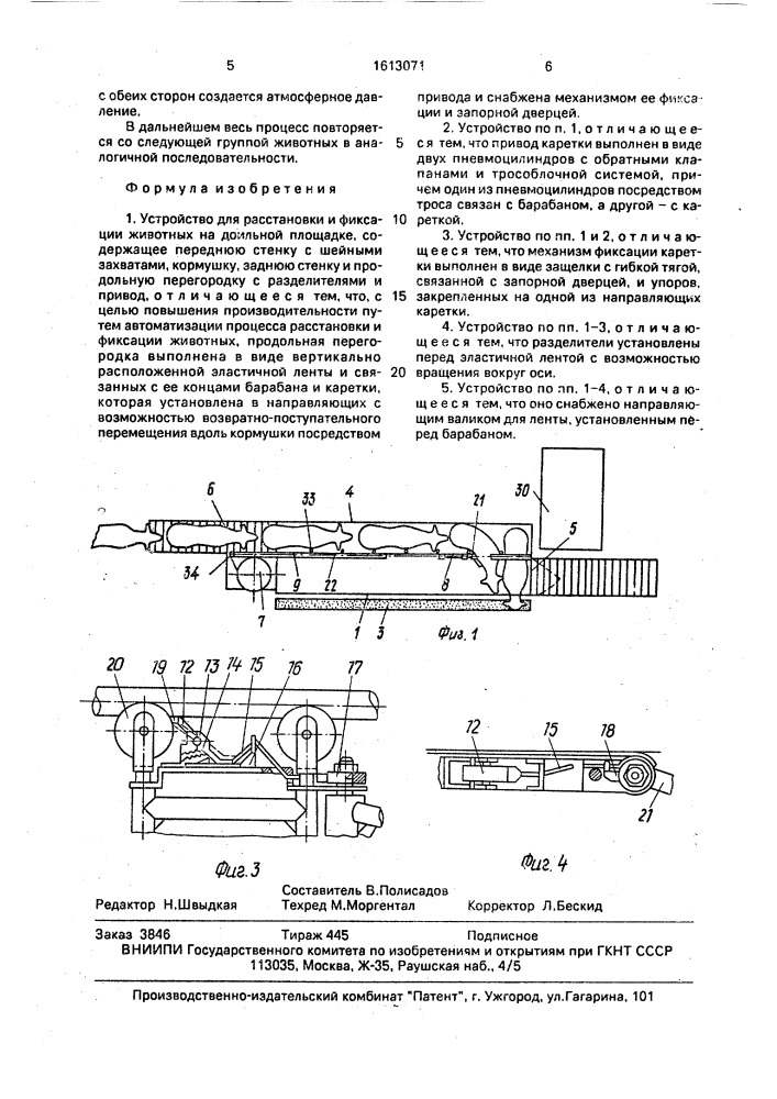 Устройство для расстановки и фиксации животных на доильной площадке (патент 1613071)