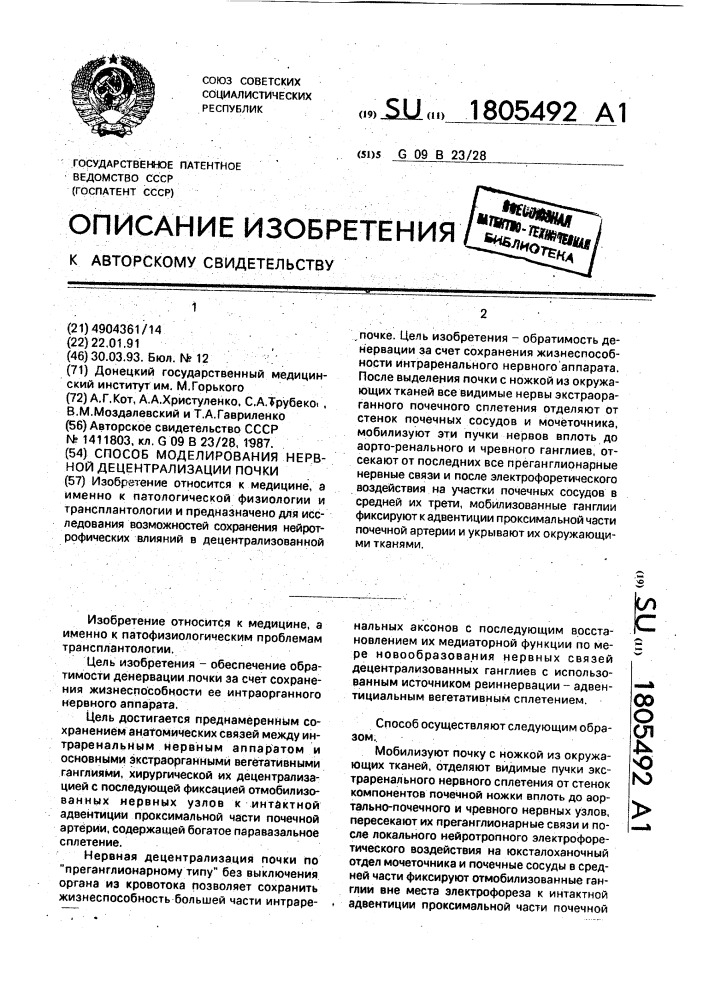 Способ моделирования нервной децентрализации почки (патент 1805492)