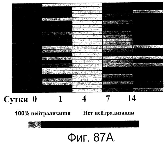 Фармакодинамические маркеры, индуцированные интерфероном альфа (патент 2527068)