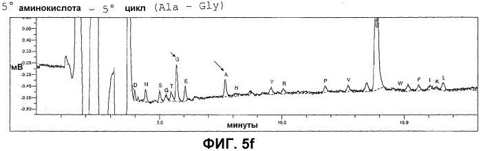 Внеклеточная гиалуронидаза из streptomyces koganeiensis (патент 2553205)