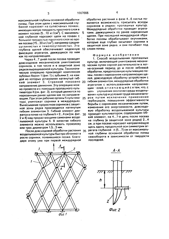 Способ возделывания пропашных культур (патент 1667666)