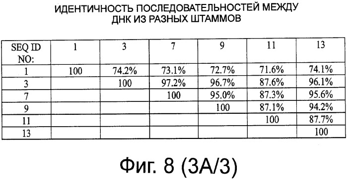 Рекомбинантная вакцина от птичьего гриппа и её применение (патент 2559527)