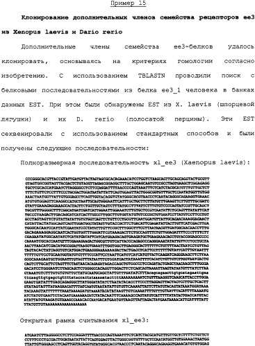 Ее3-семейство белков и соответствующие днк-последовательности (патент 2333918)