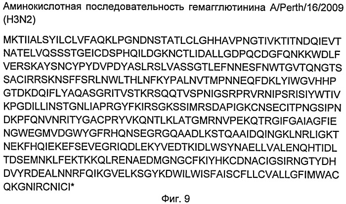 Рекомбинантная псевдоаденовирусная частица на основе генома аденовируса человека 5 серотипа, для индукции специфического иммунитета к вирусу гриппа а субтипа н3n2 и способ ее использования (патент 2507258)