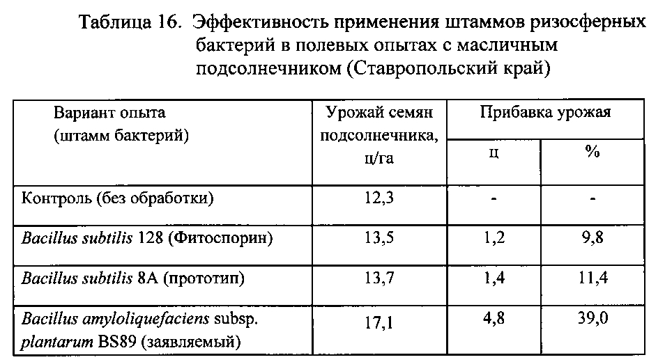 Штамм бактерий bacillus amyloliquefaciens subsp. plantarum bs89 в качестве средства повышения продуктивности растений и их защиты от болезней (патент 2599416)