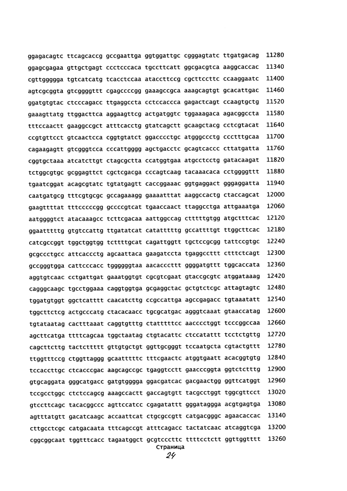 Комбинированная вакцина pcv/mycoplasma hyopneumoniae/prrs (pcv/mycoplasma hyopneumoniae/prrs combination vaccine) (патент 2644256)