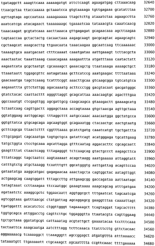 Бактериофаг, обладающий активностью против pseudomonas aeruginosa, белки бактериофага и способы их применения (патент 2580248)