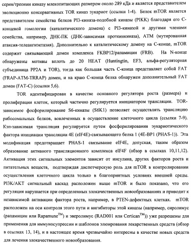 Производные 2-метилморфолин пиридо-, пиразо- и пиримидо-пиримидина в качестве ингибиторов mtor (патент 2445312)