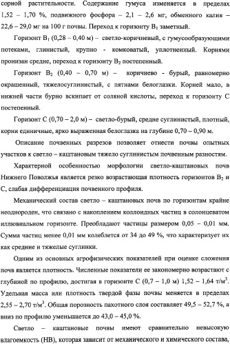Фиторемедиационный способ очистки почв от тяжелых металлов (патент 2338353)