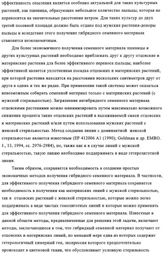 Способ избирательного получения растений с мужской или женской стерильностью (патент 2320722)