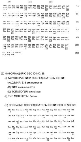 Очищенные белки оболочки вируса гепатита с для диагностического и терапевтического применения (патент 2313363)