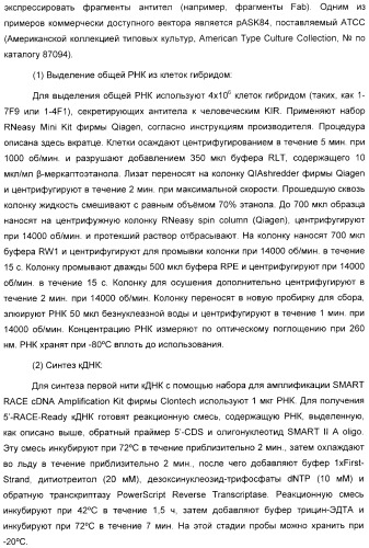 Антитела, связывающиеся с рецепторами kir2dl1,-2,-3 и не связывающиеся с рецептором kir2ds4, и их терапевтическое применение (патент 2410396)