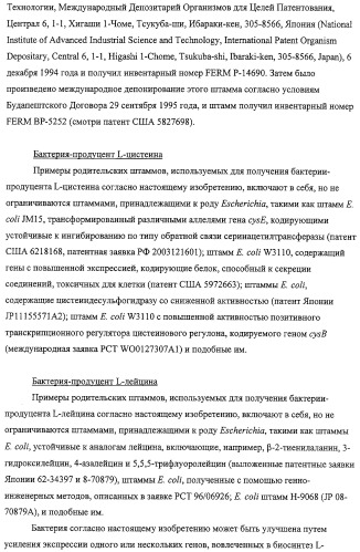 Способ получения l-треонина с использованием бактерии, принадлежащей к роду escherichia, обладающей усиленной экспрессией оперона fucpikur (патент 2318870)