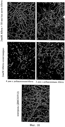 Гуманизированное антитело (патент 2538709)