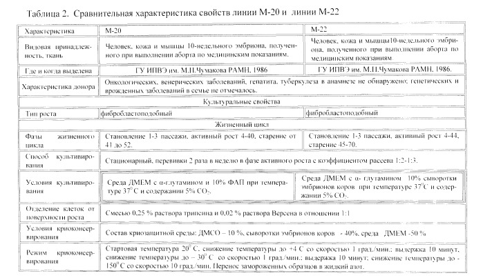 Способ повышения пролиферативных свойств диплоидных клеток фибробластов человека (патент 2536992)