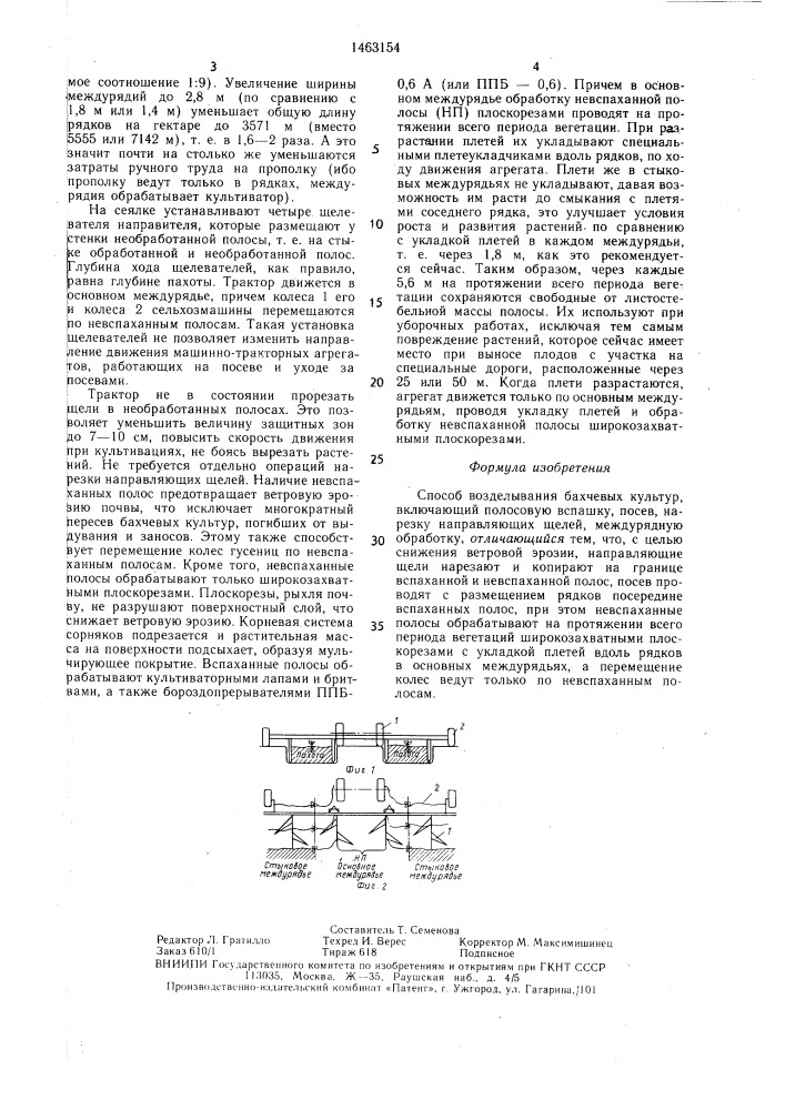 Способ возделывания бахчевых культур (патент 1463154)