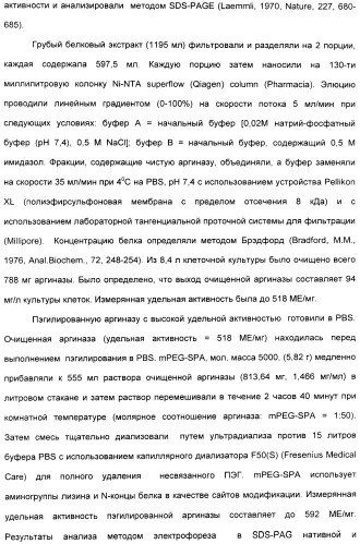 Фармацевтический препарат и способ лечения злокачественных опухолей у человека с помощью аргининовой депривации (патент 2335539)