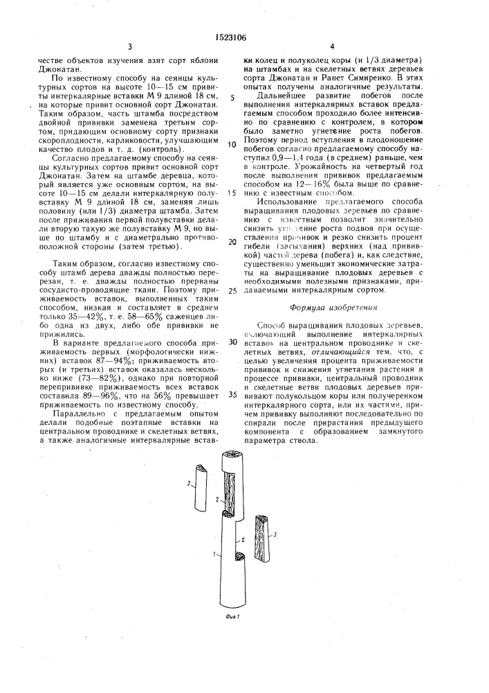 Способ выращивания плодовых деревьев (патент 1523106)