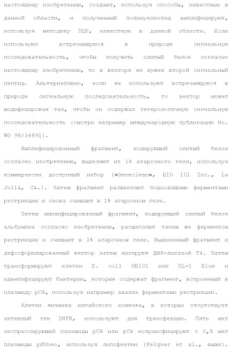 Слитые белки альбумина (патент 2369404)