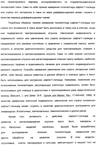 Выделенный полипептид, связывающий рецептор zalpha11-лиганда (варианты), кодирующий его полинуклеотид (варианты), вектор экспрессии (варианты) и клетка-хозяин (варианты) (патент 2346951)