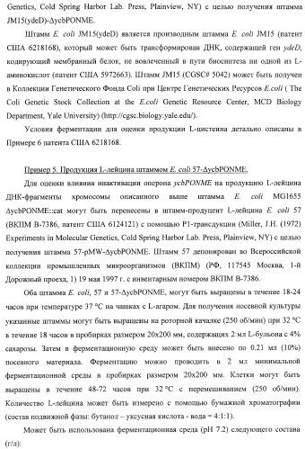 Способ получения l-треонина с использованием бактерии, принадлежащей к роду escherichia, в которой инактивирован оперон ycbponme (оперон ssueadcb) (патент 2392326)