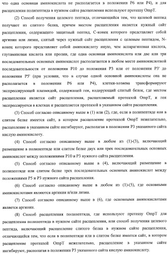 Способ расщепления полипептидов с использованием варианта протеазы оmpт (патент 2395582)