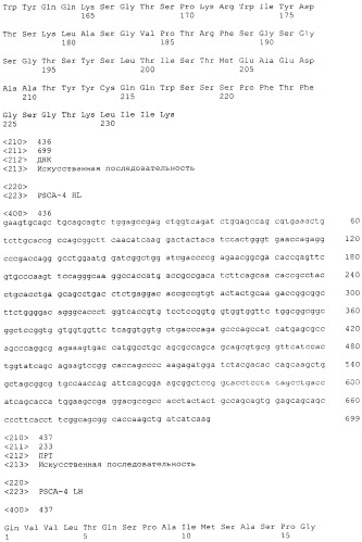 Pscaxcd3, cd19xcd3, c-metxcd3, эндосиалинxcd3, epcamxcd3, igf-1rxcd3 или fap-альфаxcd3 биспецифическое одноцепочечное антитело с межвидовой специфичностью (патент 2547600)